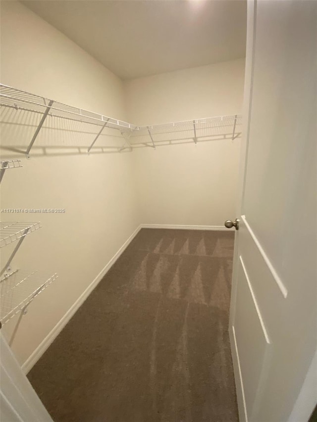 walk in closet featuring dark carpet