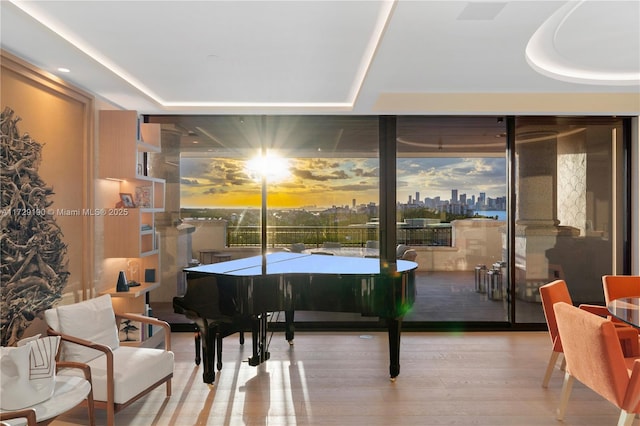 miscellaneous room featuring light hardwood / wood-style floors, a raised ceiling, and expansive windows