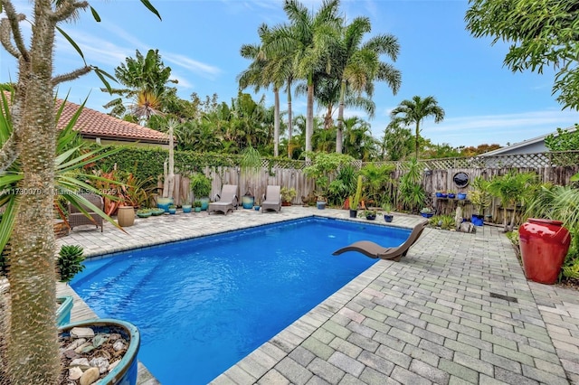 view of pool with a fenced in pool, a fenced backyard, and a patio