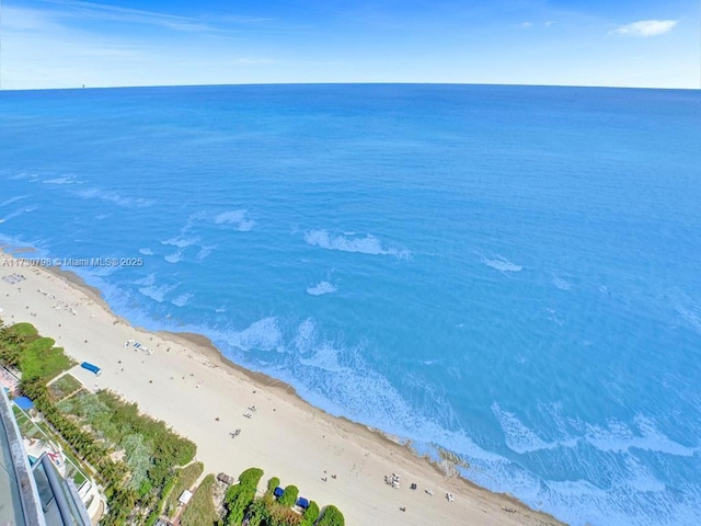 water view featuring a beach view