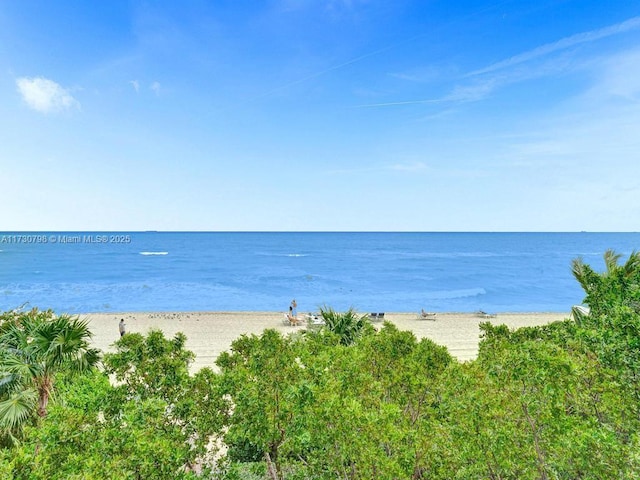 water view featuring a view of the beach