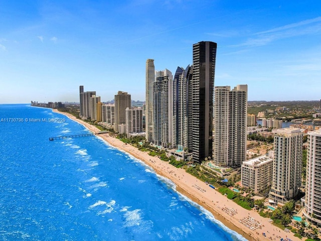 17121 Collins Ave Unit 3905, Sunny Isles Beach, FL 33160 - view of swimming pool with view of water and beach, a skyline view, and central AC unit