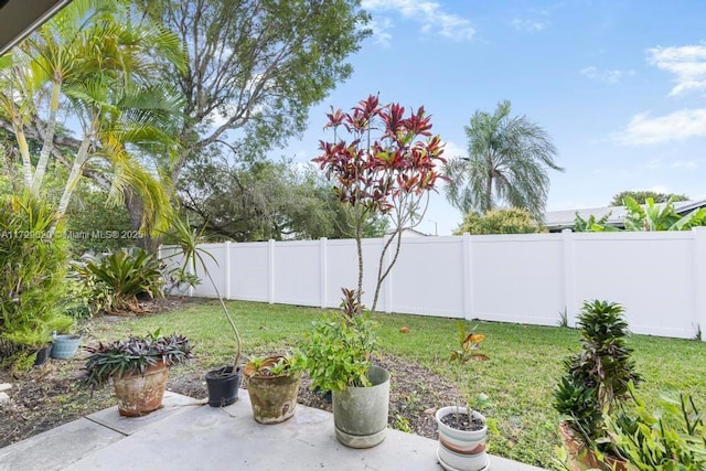 view of yard with a patio area