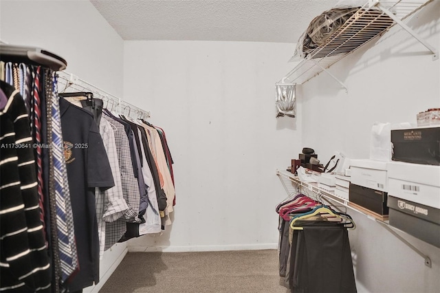 spacious closet featuring carpet