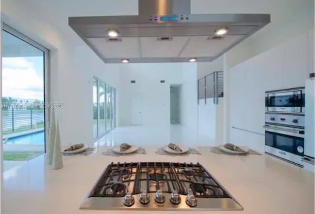 kitchen featuring stainless steel appliances and range hood