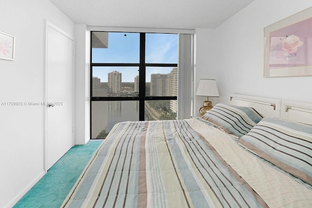 carpeted bedroom with a wall of windows