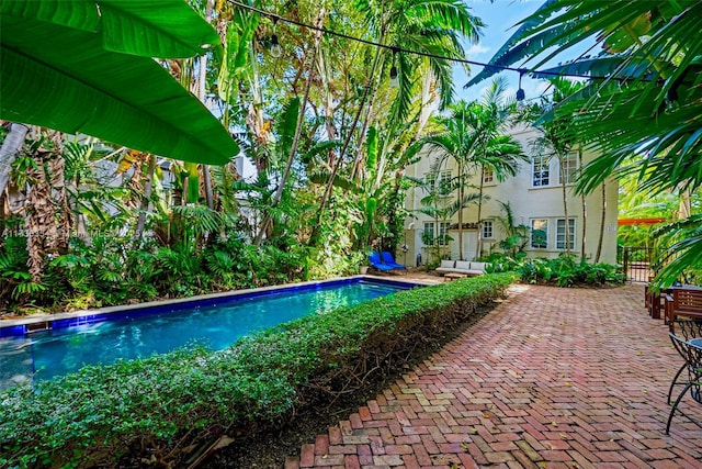 view of pool with a patio area