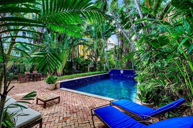 view of swimming pool featuring a patio area