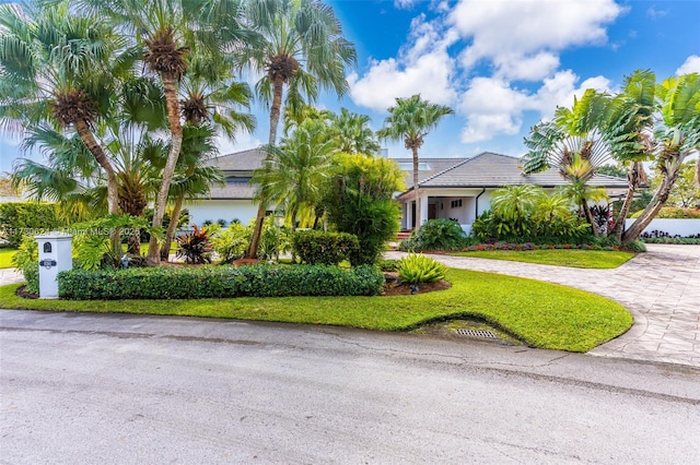 view of front of property featuring a front yard