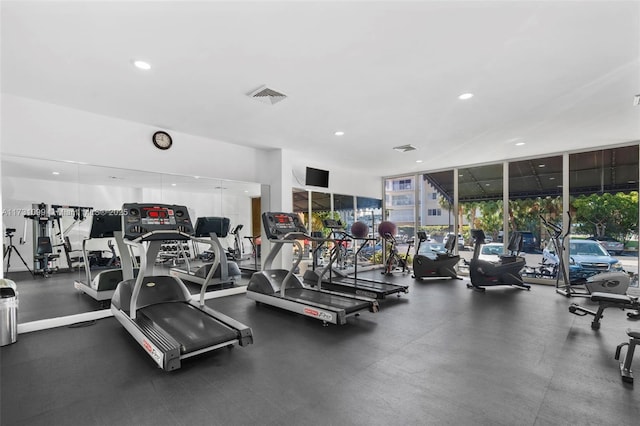 exercise room featuring a wall of windows