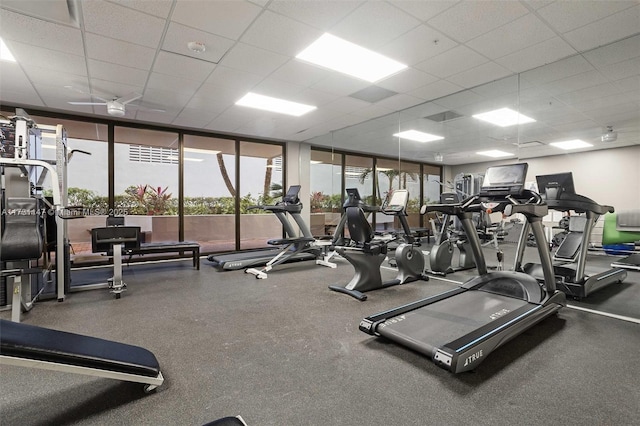 exercise room with a paneled ceiling and expansive windows