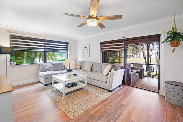 living room with ceiling fan, light hardwood / wood-style flooring, and ornamental molding