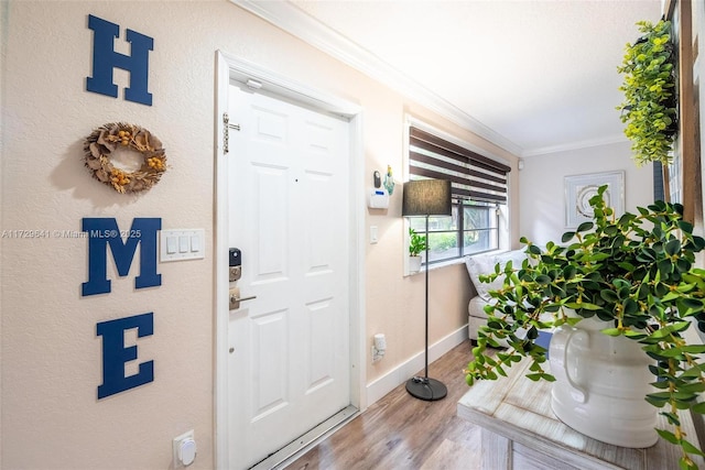 foyer entrance featuring crown molding and hardwood / wood-style floors