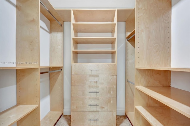 view of spacious closet