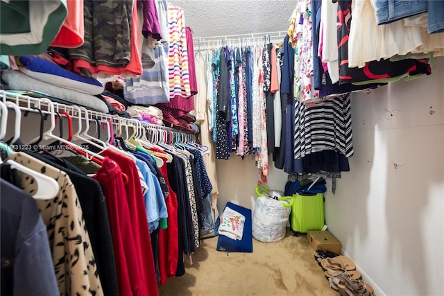 walk in closet featuring carpet flooring