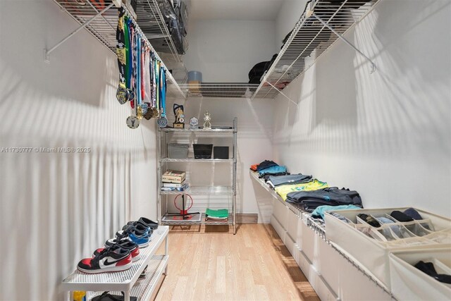 walk in closet featuring wood-type flooring