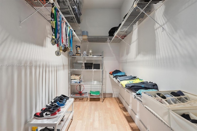 spacious closet with hardwood / wood-style floors