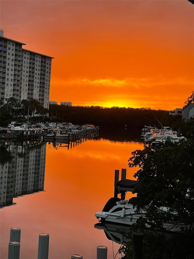 property view of water featuring a boat dock