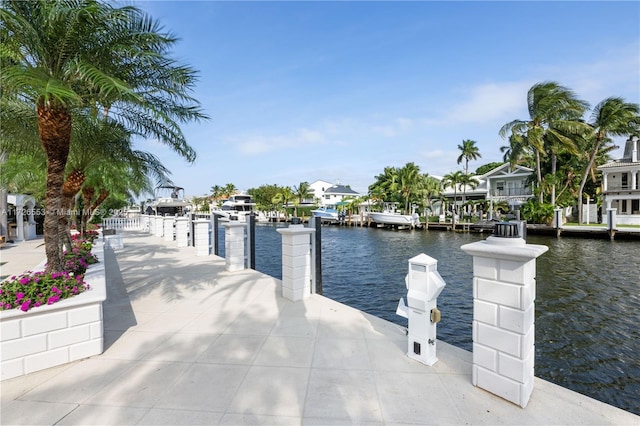 dock area with a water view