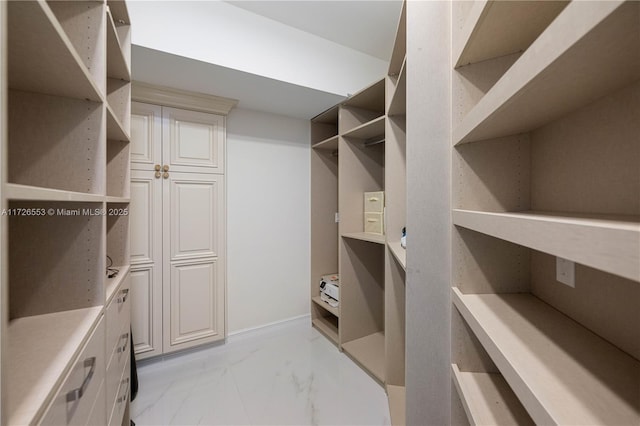 view of walk in closet