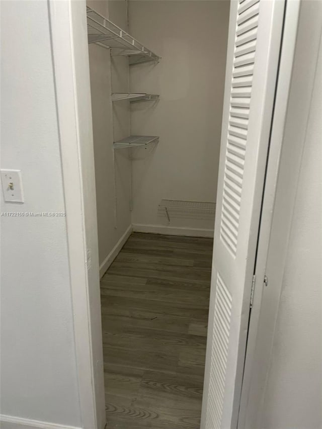 spacious closet featuring dark hardwood / wood-style floors