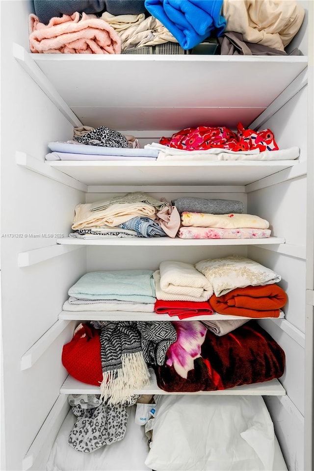 view of closet