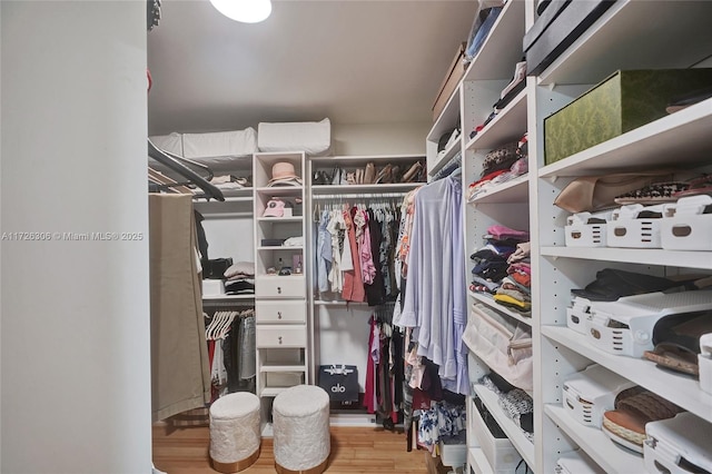 walk in closet featuring light wood-type flooring