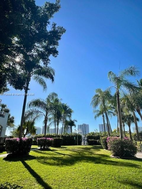 3600 Yatch Club Dr Unit 1701, Aventura, FL 33180 - view of home's community with a lawn