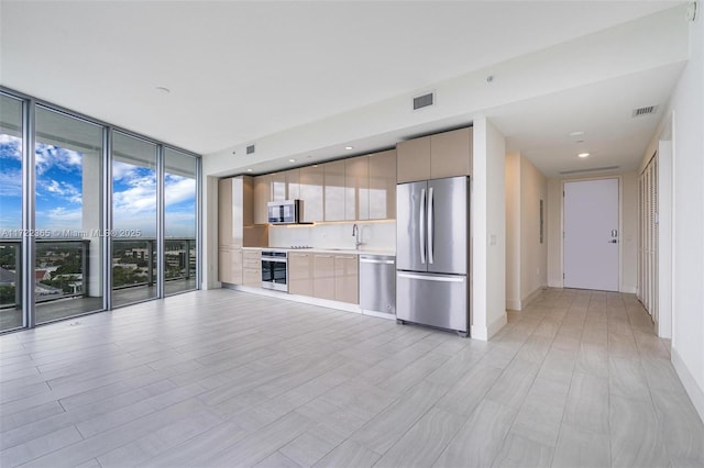 kitchen with stainless steel appliances, floor to ceiling windows, and sink