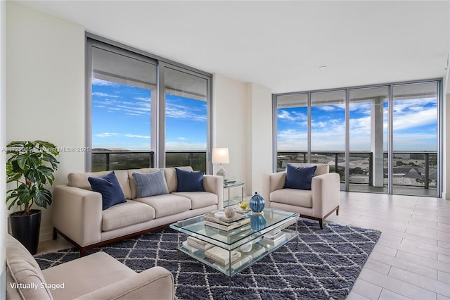 living room with a wall of windows and a wealth of natural light