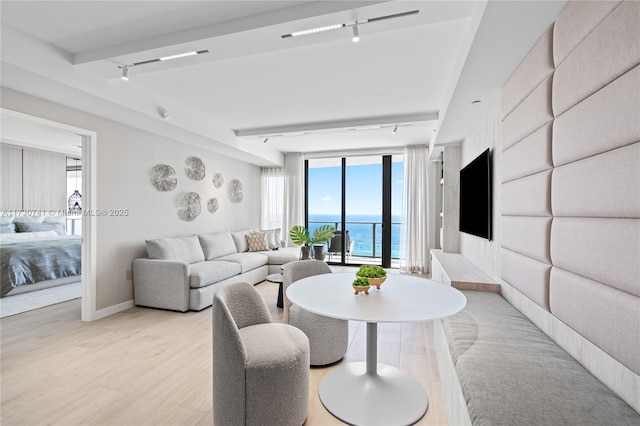 living room featuring light wood-style flooring, rail lighting, and baseboards