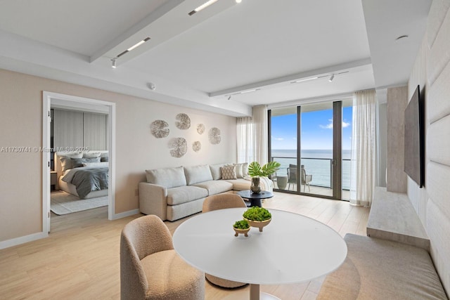 living room featuring expansive windows, rail lighting, and light wood-type flooring