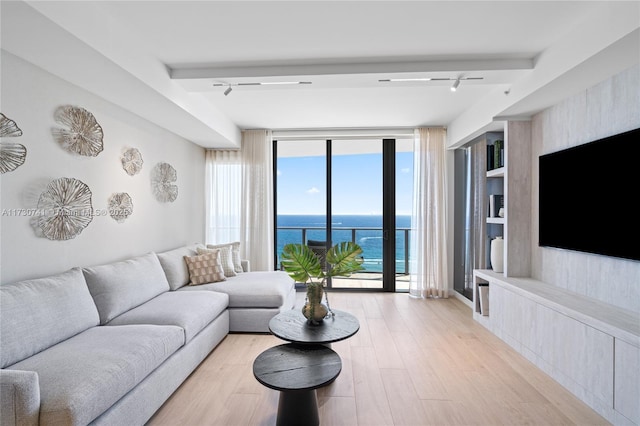 living area featuring light wood-style floors, a ceiling fan, floor to ceiling windows, and track lighting