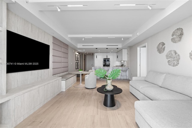 living area featuring light wood-type flooring and rail lighting