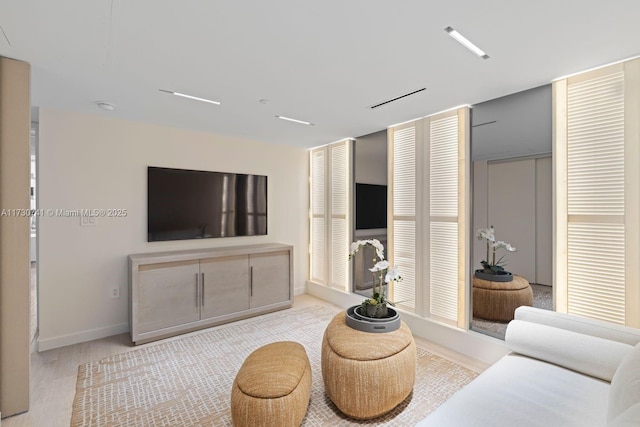 living room featuring light hardwood / wood-style floors