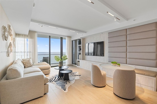 living room featuring a water view and light wood-type flooring