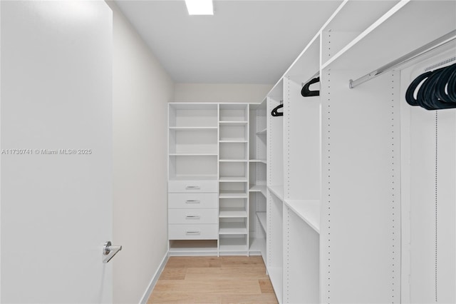 walk in closet with light wood-style flooring