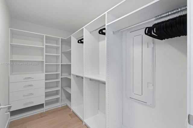 spacious closet featuring light wood-type flooring