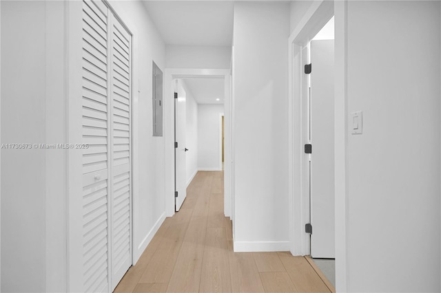 hallway featuring electric panel and light wood-type flooring