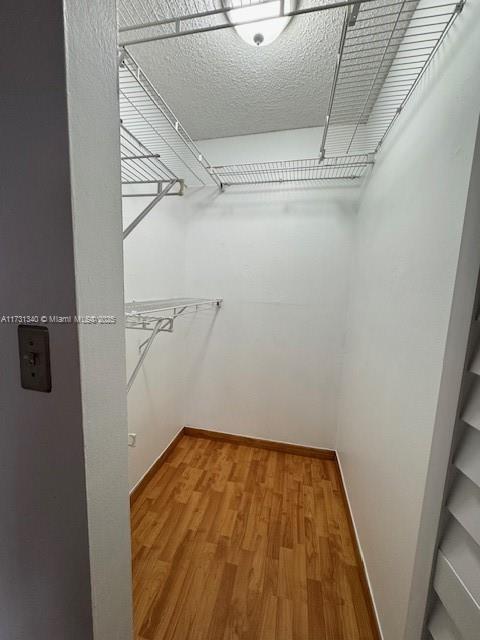 spacious closet with hardwood / wood-style floors