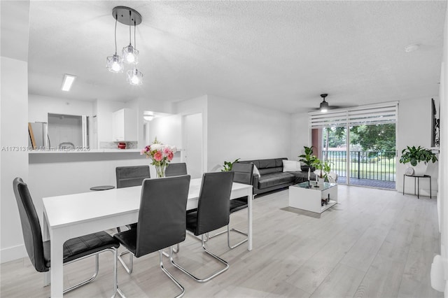 dining space featuring ceiling fan, light hardwood / wood-style floors, and a textured ceiling