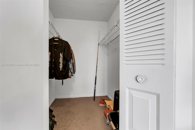 walk in closet featuring carpet floors