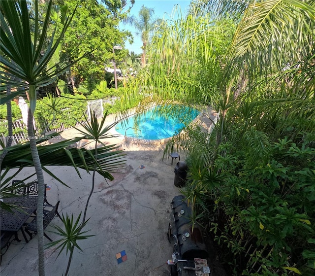 view of swimming pool featuring a patio area