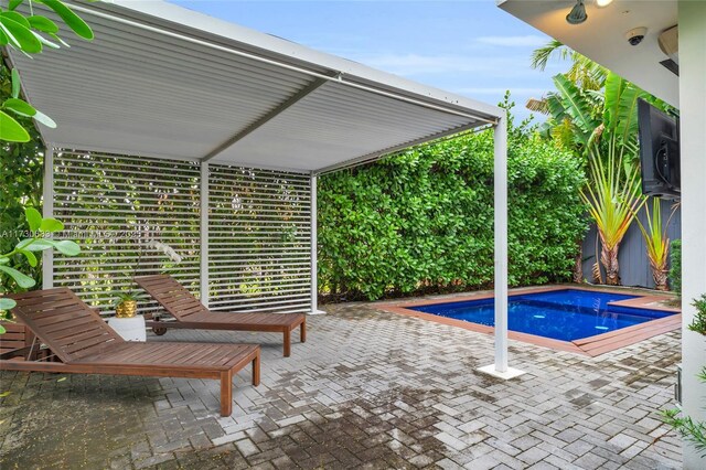 view of swimming pool with a patio