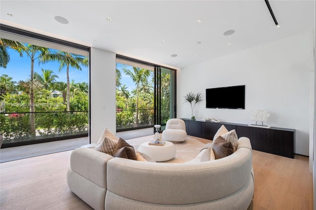 291 Palm Ave, Miami Beach, FL 33139 - living room featuring expansive windows and light wood-type flooring