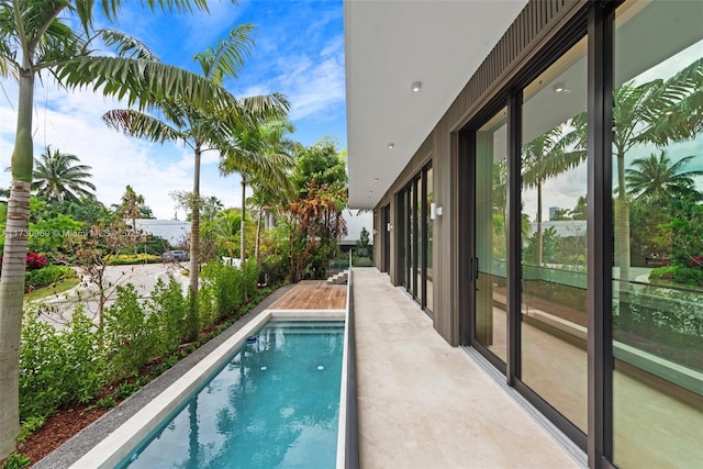 view of swimming pool featuring a patio