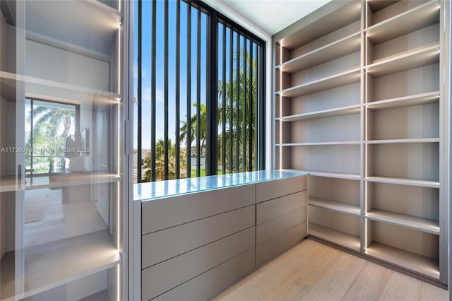 291 Palm Ave, Miami Beach, FL 33139 - walk in closet with light wood finished floors