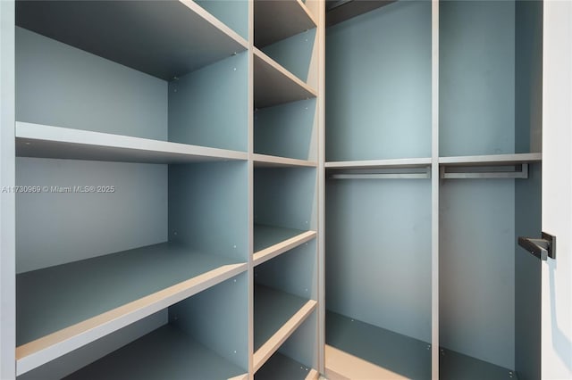 291 Palm Ave, Miami Beach, FL 33139 - view of walk in closet