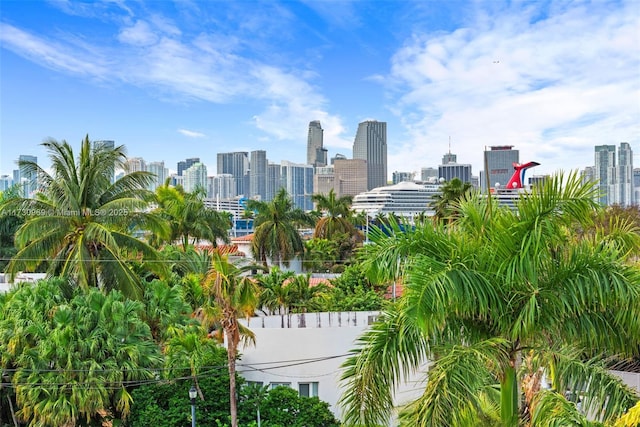 291 Palm Ave, Miami Beach, FL 33139 - skyline view
