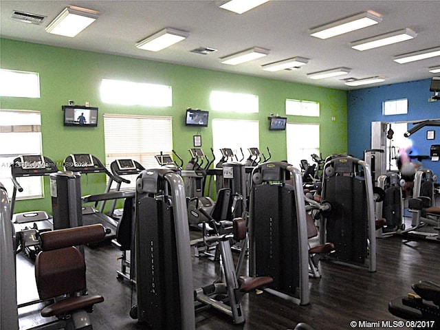 exercise room with dark hardwood / wood-style flooring